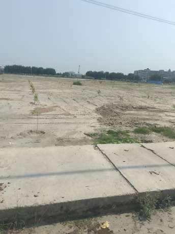  Plot For Resale in Sector 23 Sonipat 5765484