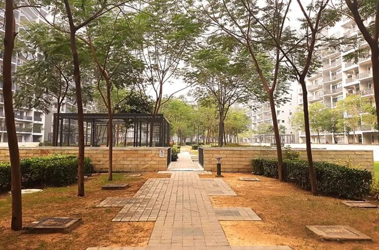 Exterior View, dlf-the-arbour 4 Bedroom 3900 Sq.Ft. Apartment In Sector 63 Gurgaon 5766589