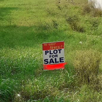  Plot For Resale in Sector 3 Chandigarh 5767151