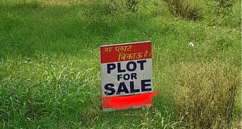  Plot For Resale in Sector 3 Chandigarh 5767151
