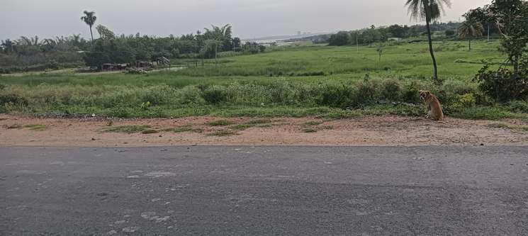 Commercial Land 70 Acre in Vikarabad Hyderabad