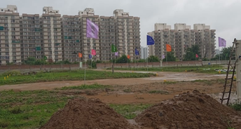  Plot For Resale in NS Anand Niketan Sohna Sector 2 Gurgaon 5768650