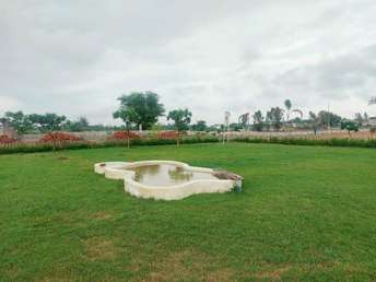  Plot For Resale in Sultanpur Road Lucknow 5768701