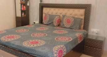 3.5 BHK Apartment For Resale in Sector 78 Faridabad 5769644