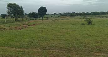 Commercial Land 35 Acre For Resale In Kondurg Hyderabad 5771584