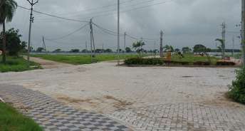  Plot For Resale in MR 10 Indore 5773535
