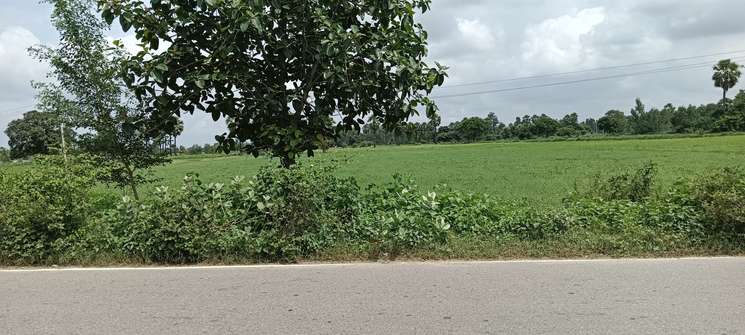 Narayanpur Highway On Road 4 Bigha Land 210 Ka Front