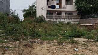  Plot For Resale in Sector 55 Gurgaon 5779130