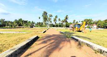  Plot For Resale in Mulanthuruthy Kochi 5780599