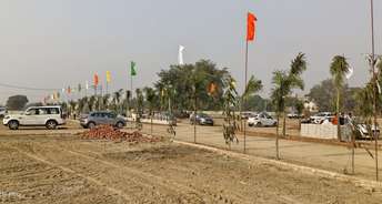  Plot For Resale in Yex Sector 17a Greater Noida 5781251