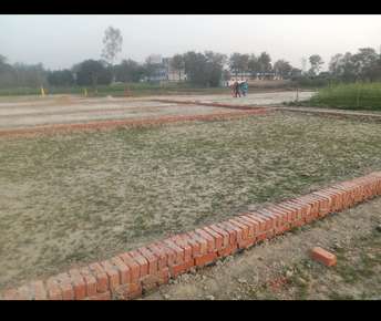  Plot For Resale in Sitapur Road Lucknow 5783330