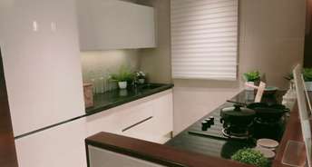 1 BHK Apartment For Resale in Integrated Ramicon Goregaon West Mumbai 5786658