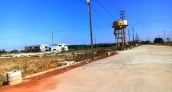  Plot For Resale in NH 111 Bilaspur 5787251