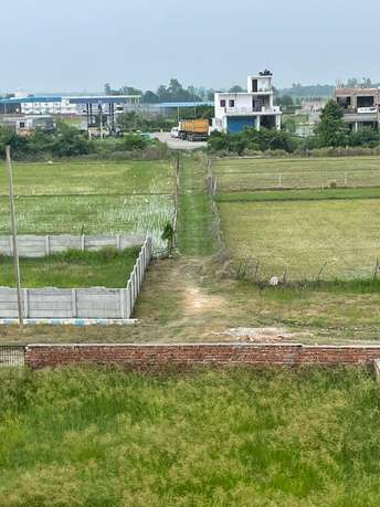  Plot For Resale in Mohan Road Lucknow 5787765
