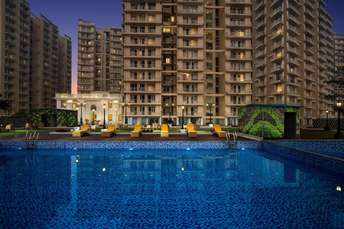 3 BHK Apartment For Resale in Mittal Rajnagar Residency Raj Nagar Extension Ghaziabad  5789930