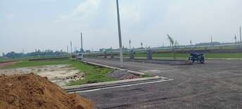 Plot For Resale in Jail Road Lucknow  5790448