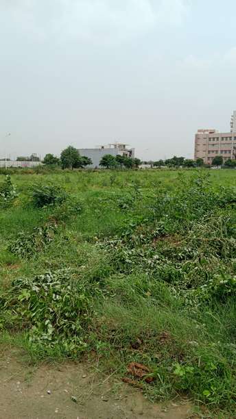  Plot For Resale in Sector 21d Faridabad 5793312