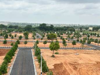  Plot For Resale in Nandigama Hyderabad 5797735