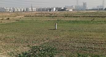  Plot For Resale in Sector 88 Gurgaon 5801322