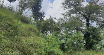 Commercial Land 4 Acre For Resale In Mashobra Shimla 5804013