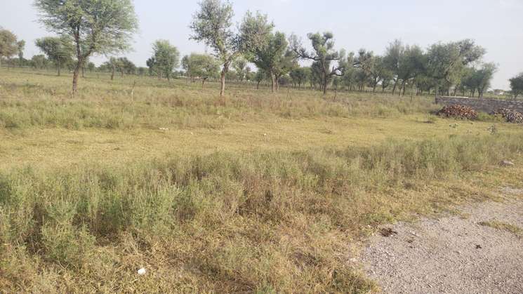 220 Sq.Yd. Plot in Diggi Road Jaipur