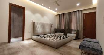 3 BHK Apartment For Resale in Sector 60 Chandigarh 5807143