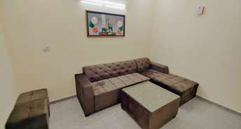 2 BHK Builder Floor For Rent in Unitech South City 1 Sector 41 Gurgaon 5807277