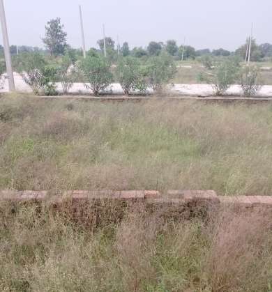 500 Sq.Yd. Plot in Greater Noida West Greater Noida