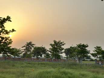 Plot For Resale in Bhogapuram Vizianagaram  5813261