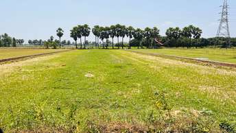 Plot For Resale in Banthra Sikander Pur Lucknow  5814157