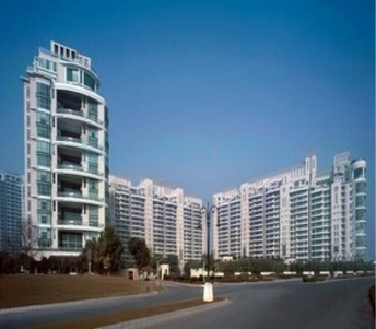 5 BHK Apartment For Resale in DLF The Aralias Dlf Phase V Gurgaon  5816559