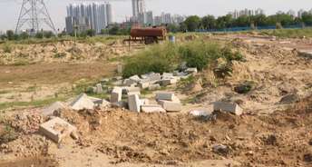  Plot For Resale in Sector 95 Gurgaon 5817351