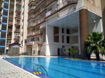 3.5 BHK Apartment For Resale in Amrapali Eden Park Sector 50 Noida 5819892