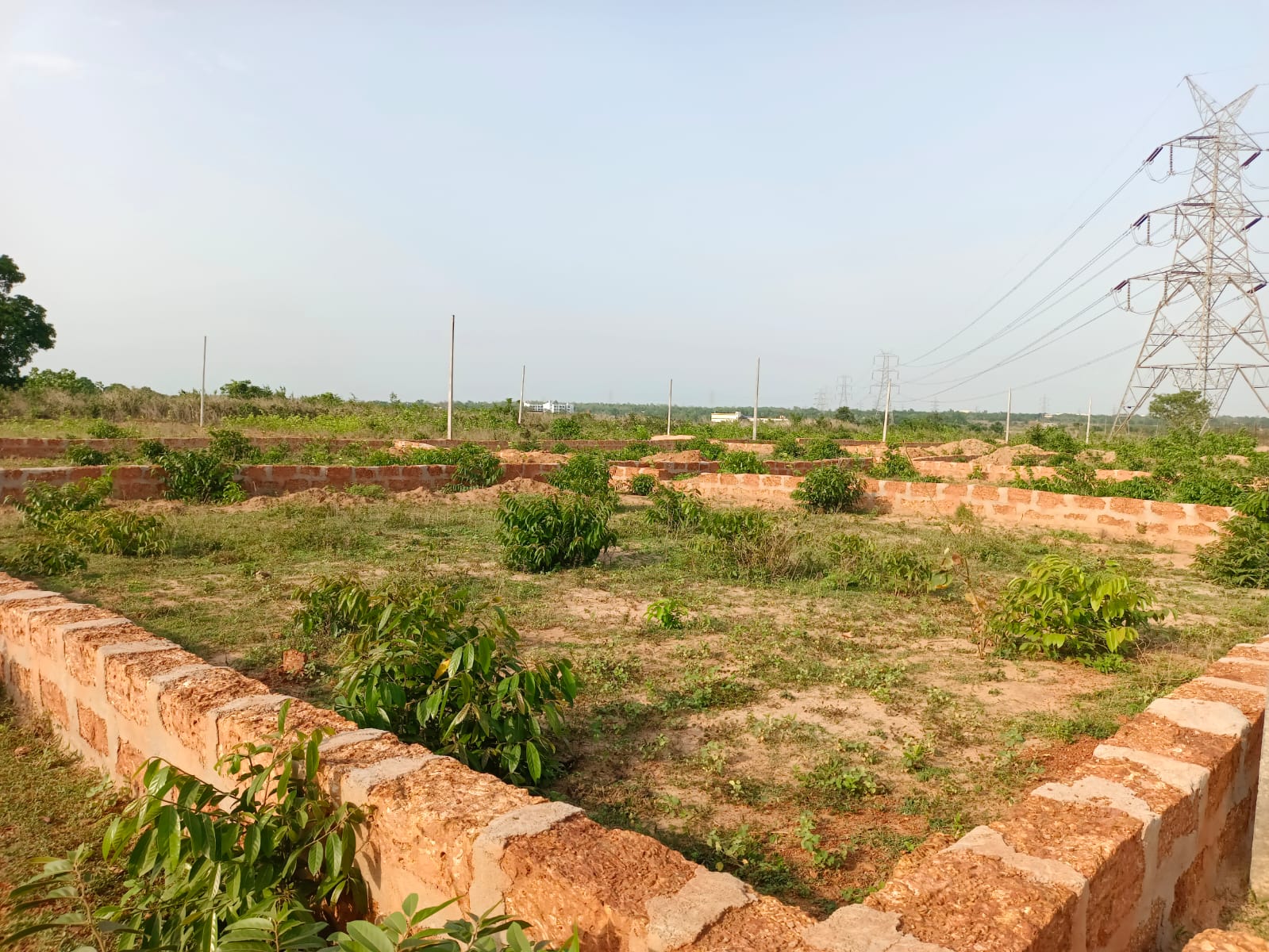 Resale 1500 Sq.Ft. Plot in Chandaka Bhubaneswar 5821497
