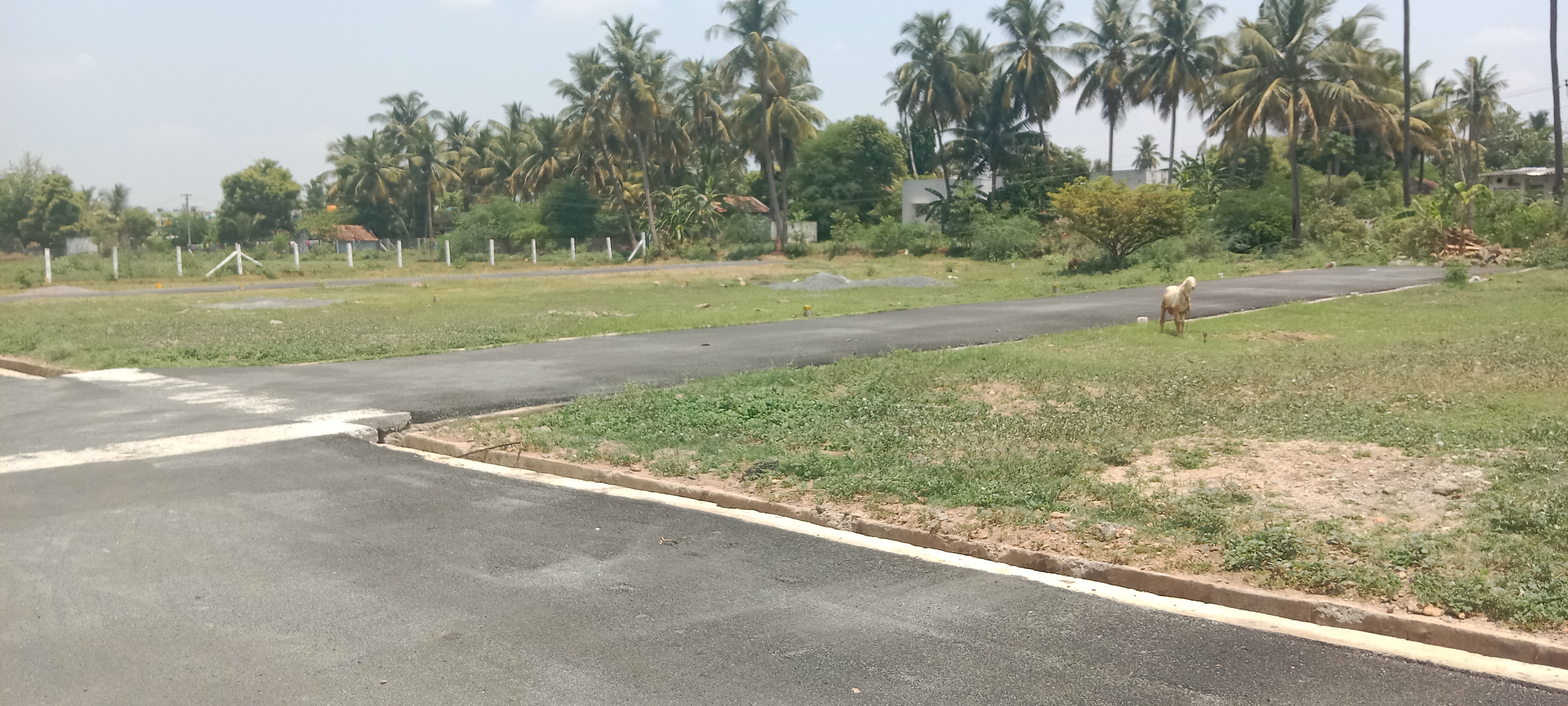 Resale 1496 Sq.Ft. Plot in Alagapuram Salem 5822318