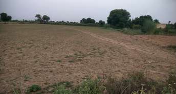 Commercial Land 36300 Sq.Yd. For Resale In Bhajeet Alwar 5822571