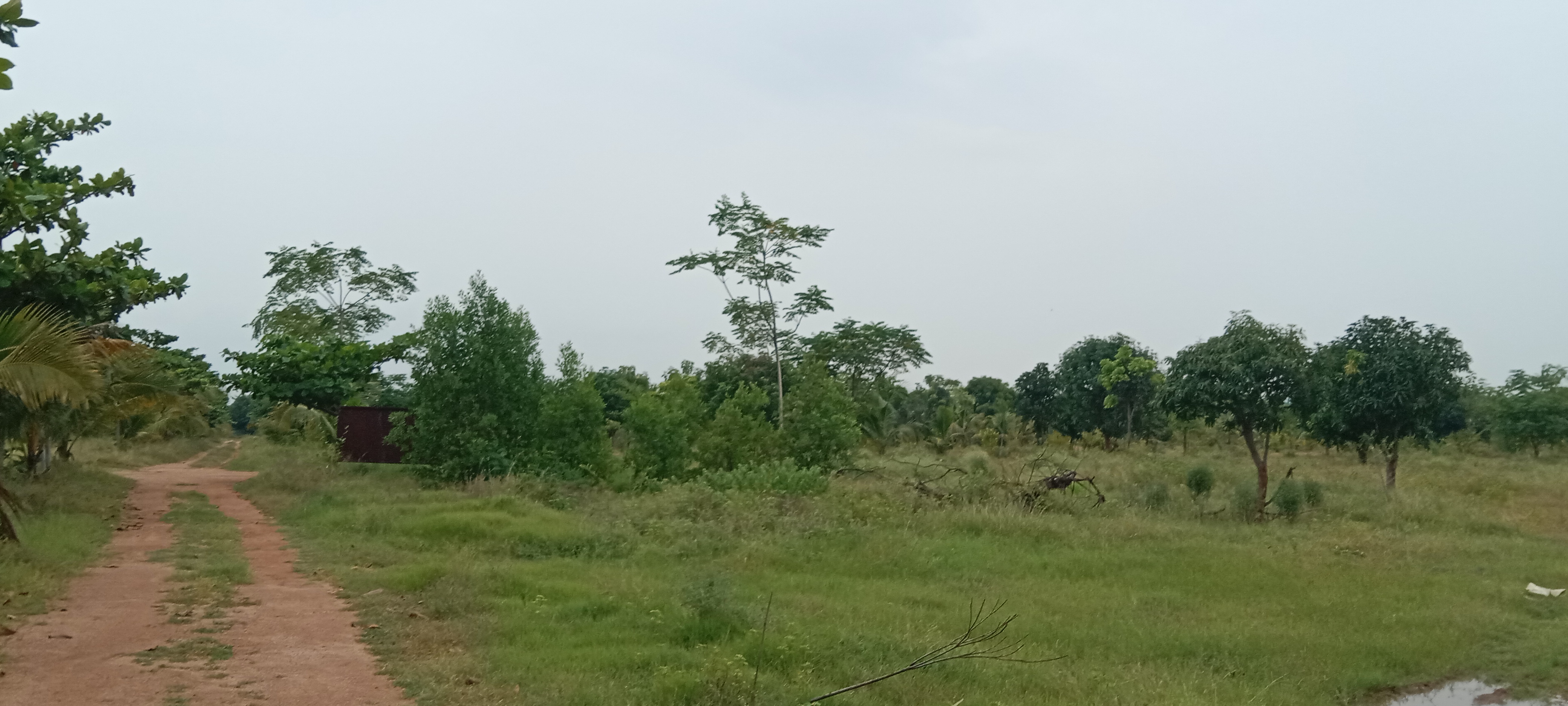Resale 1000 Sq.Yd. Plot in Banjara Hills Hyderabad 5823544