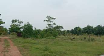  Plot For Resale in Banjara Hills Hyderabad 5823544