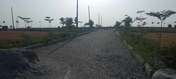  Plot For Resale in Malakpet Hyderabad 5823848