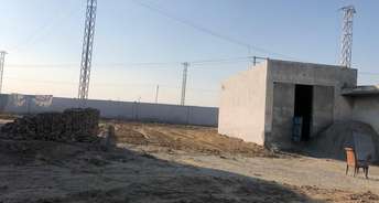 Commercial Land 500 Sq.Yd. For Resale In Gangdwa Bahadurgarh 5824055