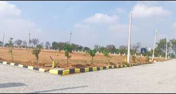  Plot For Resale in Jangaon Hyderabad 5825645