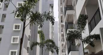 2 BHK Apartment For Resale in Yeshwanthpur Bangalore 5826003