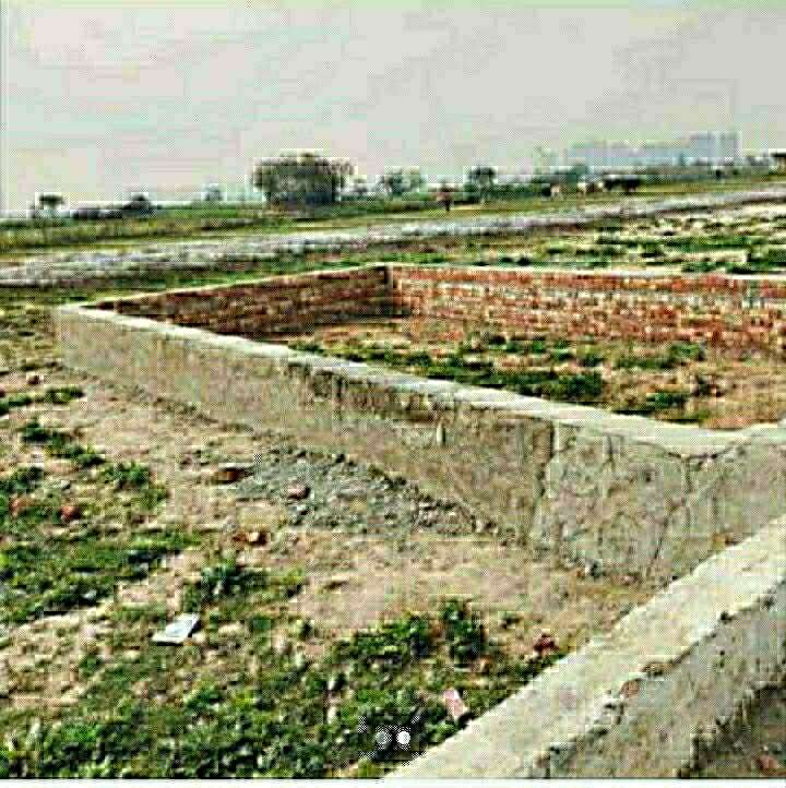 Commercial Industrial Plot 1800 Sq.Yd. in Sector 80 Noida