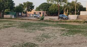  Plot For Resale in Housing Board Colony Faridabad 5828566
