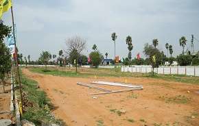  Plot For Resale in Mukunda Greens Adibatla Hyderabad 5829757
