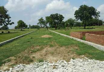  Plot For Resale in Hindustan Valley Sultanpur Road Lucknow 5829804