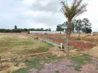 Commercial Land 250 Sq.Ft. For Resale In Tappal  Greater Noida 5832613