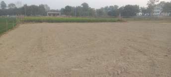 Commercial Land 4000 Sq.Ft. For Resale In Sitapur Road Lucknow 5833273