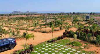  Plot For Resale in Mallepally Hyderabad 5837032
