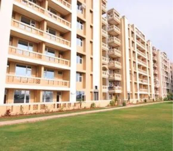 3 BHK Apartment For Resale in Orbit Apartments Lohgarh Zirakpur 5841818